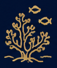 Marine Wonders